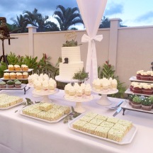 Amuse Dessert Bar with 2-tier Cake